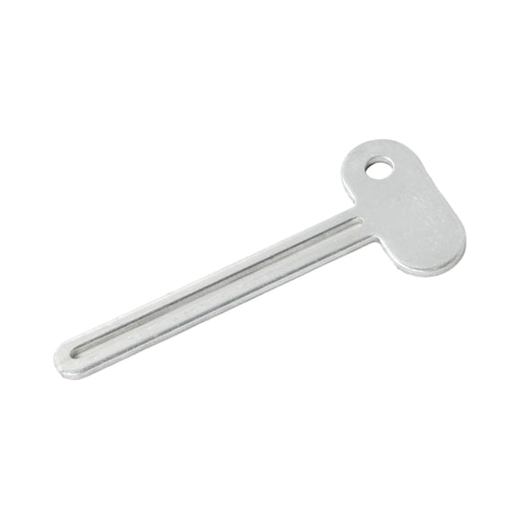 CarpNettore Key Toothpaste Squeezer Creative Toothpaste Squeezing Tool for Home Bathroom