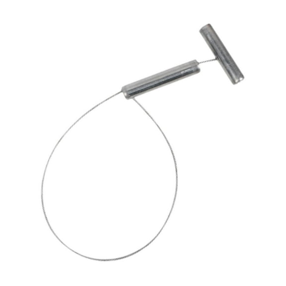 CarpNettore Pig Catcher Animal Catcher Portable Wire Rope Adjustable Loop Compact Pig Holder Silver