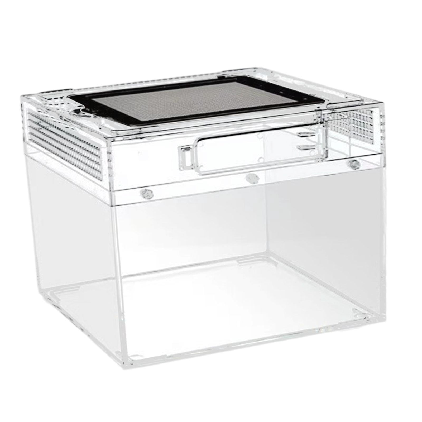 CarpNettore Reptile Terrarium Reptile Tank Ventilation Transparent Breeding Box Habitat for Turtle Scorpions Lizards Horned Frogs Geckos 20cmx20cmx15cm
