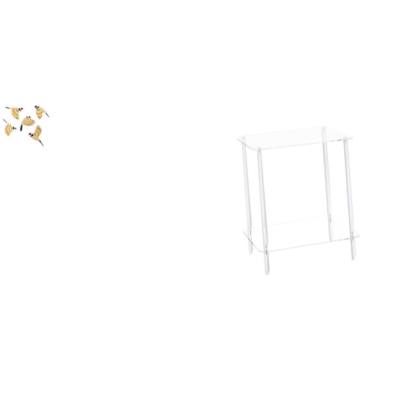 CarpNettore Wooden Bird Wall Art Ornament and Clear Acrylic Side Table for Bedroom Office Home Decor Housewarming Gift Collectible Crafts Indoor