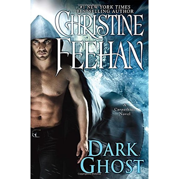 Pre-Owned Dark Ghost (Hardcover) by Christine Feehan