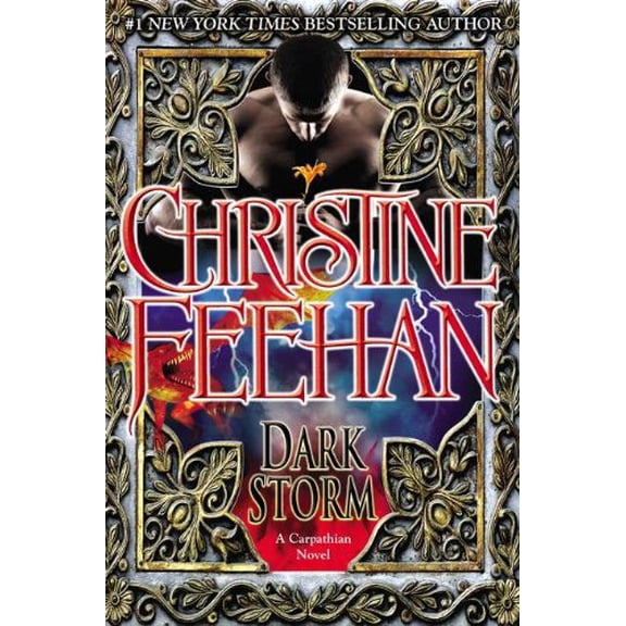 Pre-Owned Dark Storm (Hardcover) by Christine Feehan