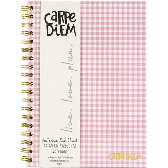 Carpe Diem Ballerina Pink Check 1-Subject Notebook, 7.5' x 9.75', Wide-Ruled, 80 Sheets, Pink/White