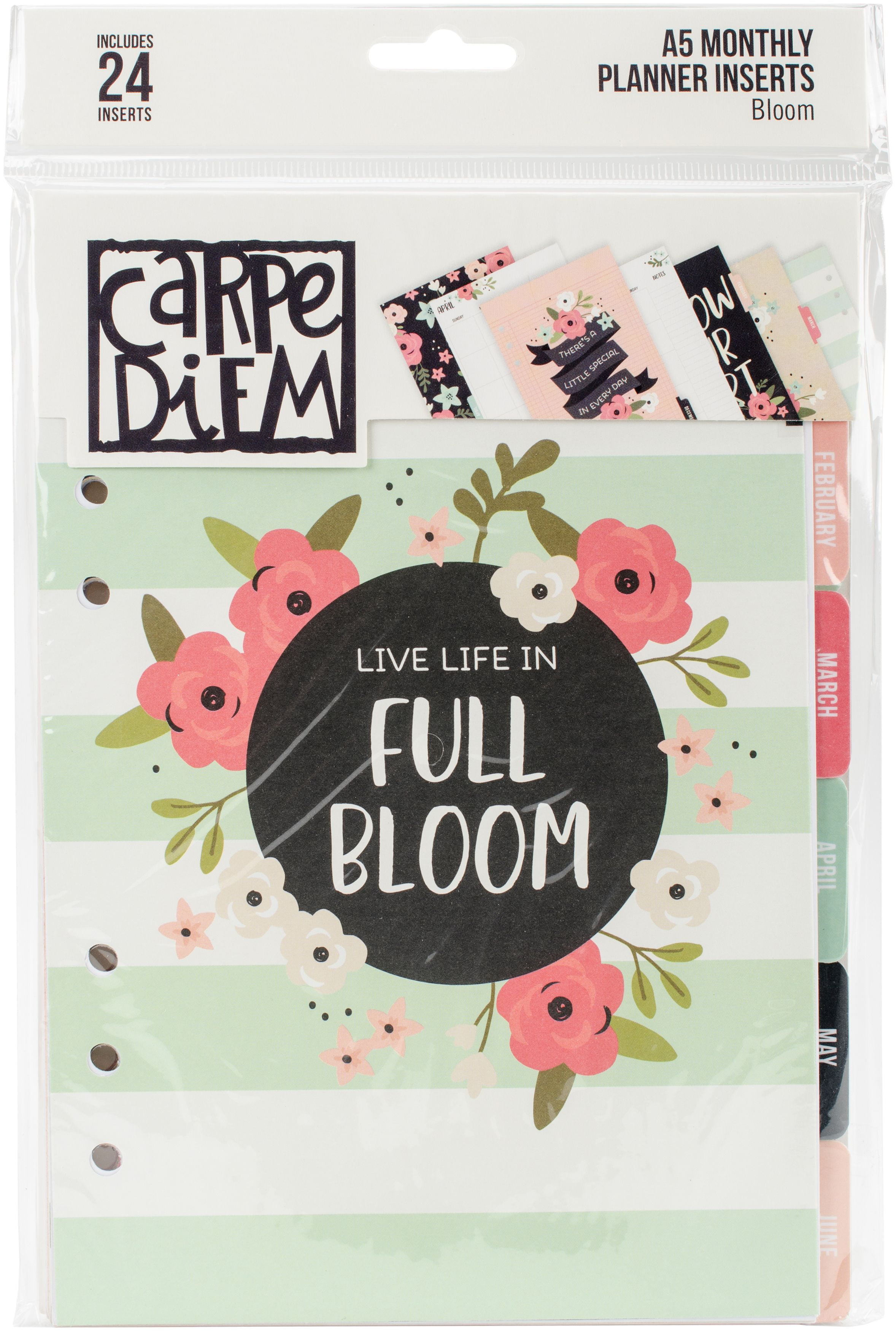 Planner Inserts for Walmart Discbound