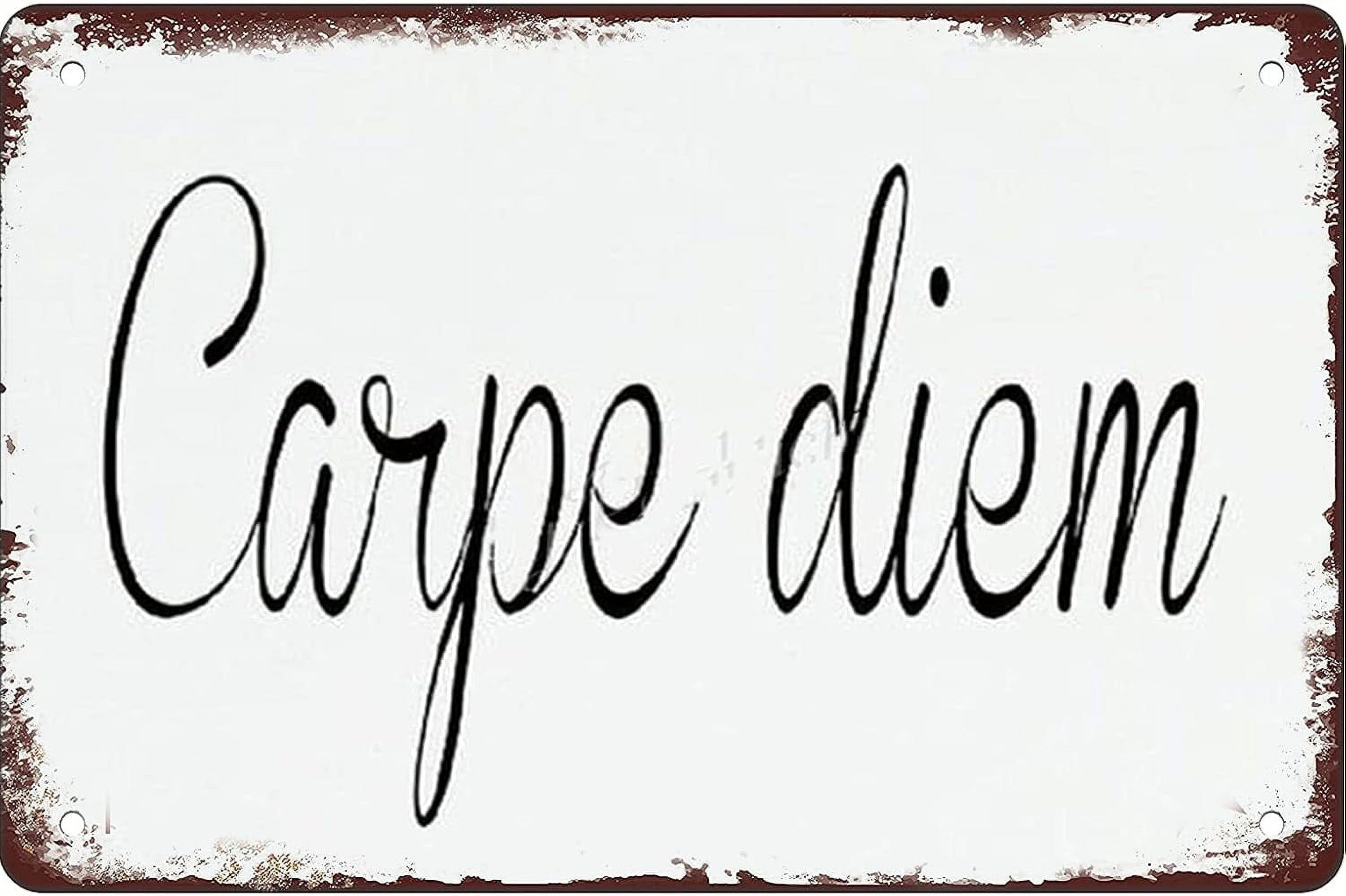 "Carpe Diem" Vintage Metal Tin Sign - 12x16 Inch, Rustic Wall Decor For Bar, Cafe, Office