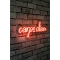 thumbnail image 1 of Carpe Diem Neon Light, Glow Your Space with Red Carpe Diem Led Sign, Carpe Diem Neon for Wall Decor Game Room Bedroom Light Home Party Man Cave, 1 of 5