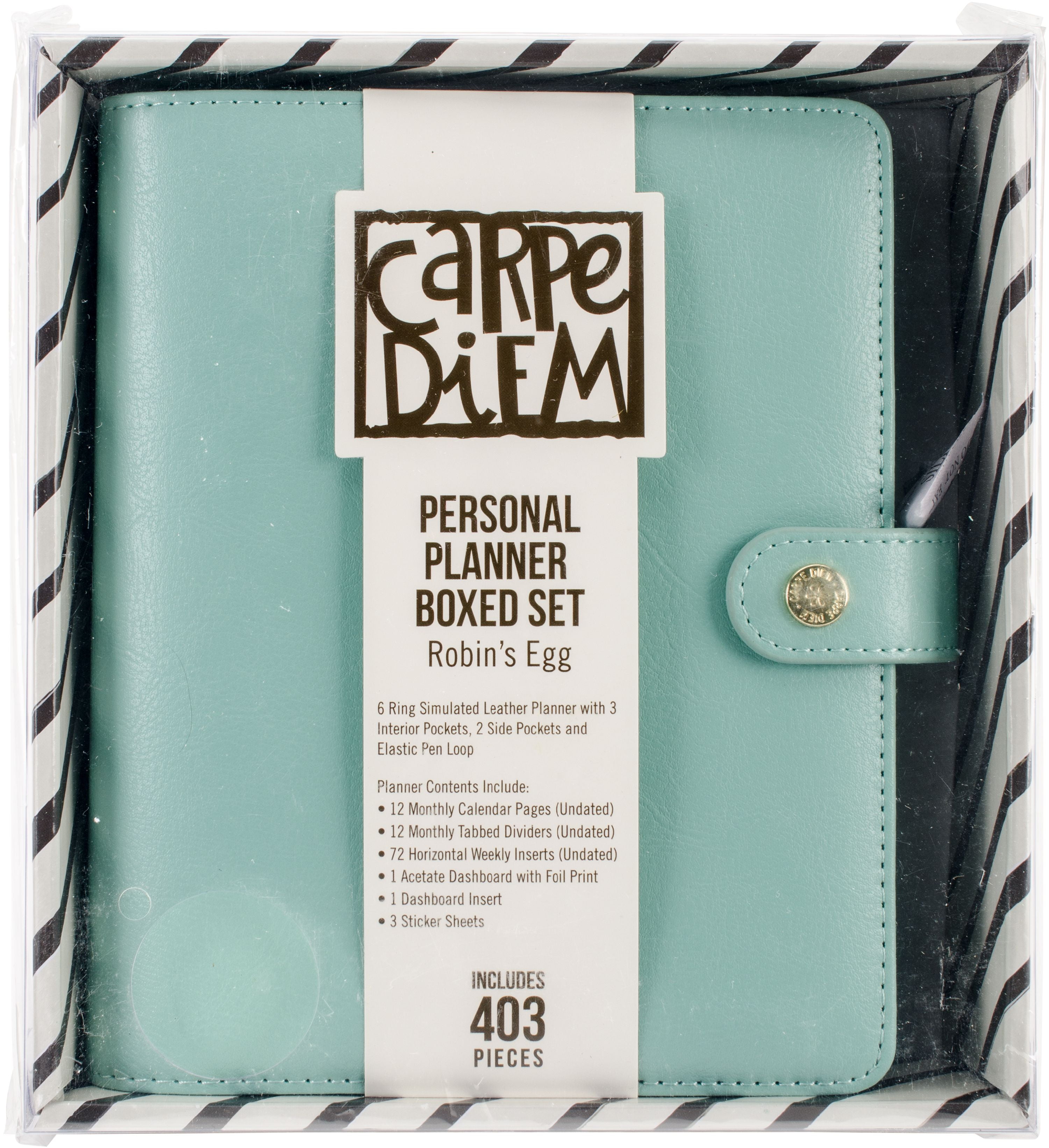 Carpe Diem Planner Personal Size, Small 6 ring Binder BLUSH Pink Agenda