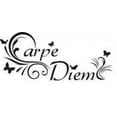 thumbnail image 1 of Carpe Diem Picture Art 30"X10" - Living Room - Home Decor Sticker Vinyl Wall Decal Trendy Stylish Home Decor Fashion, 1 of 2