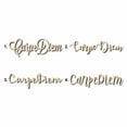 thumbnail image 1 of Carpe Diem Sign Unfinished Wood Cutout Home Decor DIY Option 2- 48" Wide / 1/2", 1 of 3