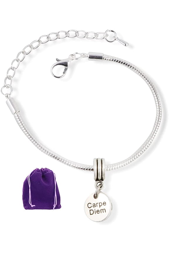 Carpe Diem ( on small circle ) Snake Chain Charm Bracelet Inspirational Gifts for Women and Men or Great Teacher Gifts and Best Friend Bracelets for 2 as Motivational Gifts and Bracelets for Women