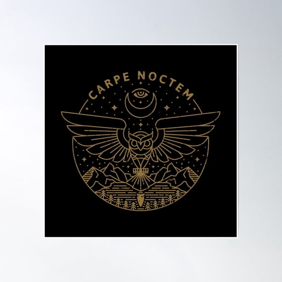 Carpe Noctem Poster Wall Art, Modern Wall Decor, 16x16 UNFRAMED