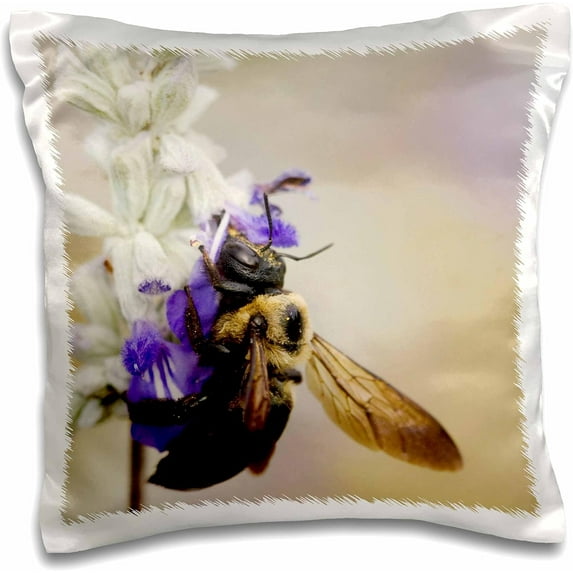 3dRose, Carpenter Bee on Mealy sage, Hill Country, Texas - NA02 RNU0041 - Rolf Nussbaumer, 16x16 inch Pillow Case