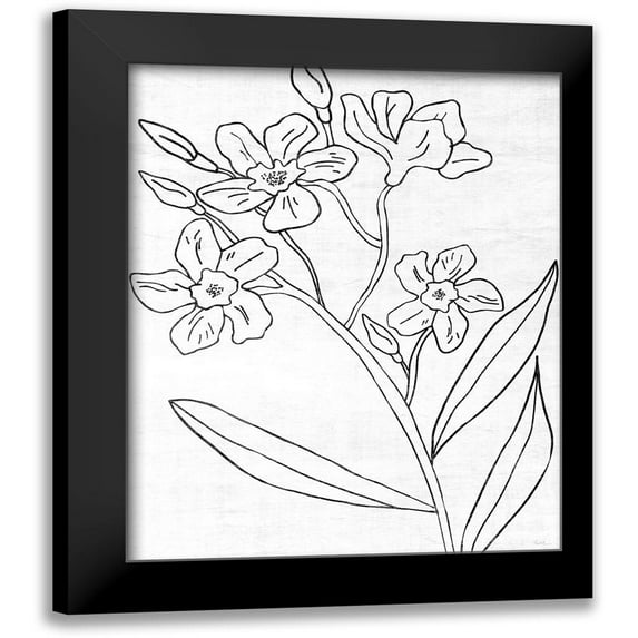 Carpentieri, Natalie 12x14 Black Modern Framed Museum Art Print Titled - Botanical Sketch II