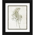 thumbnail image 1 of Carpentieri, Natalie 12x14 Black Ornate Wood Framed with Double Matting Museum Art Print Titled - Farmhouse Pressed Flower I, 1 of 4