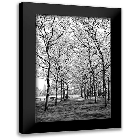 Carpentieri, Natalie 13x18 Black Modern Framed Museum Art Print Titled - Pier a Park