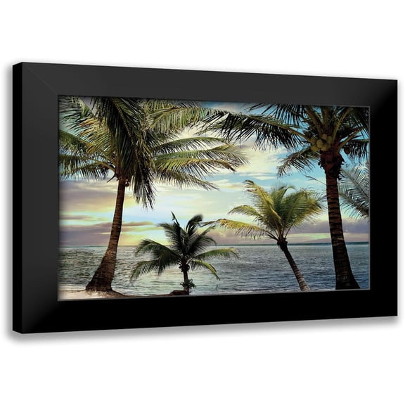 Carpentieri, Natalie 14x11 Black Modern Framed Museum Art Print Titled - Honduras Sunset