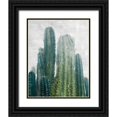 thumbnail image 1 of Carpentieri, Natalie 15x18 Black Ornate Wood Framed with Double Matting Museum Art Print Titled - Aruba Cacti, 1 of 4