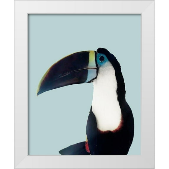 Carpentieri, Natalie 15x18 White Modern Wood Framed Museum Art Print Titled - Aruba Wildlife