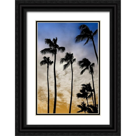 Carpentieri, Natalie 17x24 Black Ornate Wood Framed with Double Matting Museum Art Print Titled - Evenings Edge II
