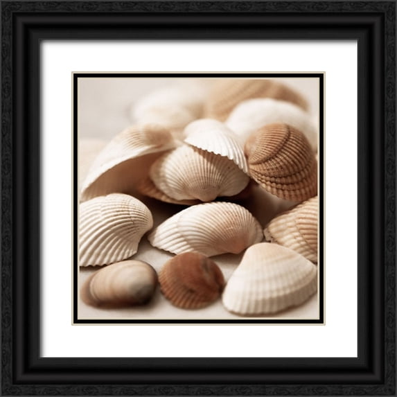 Carpentieri, Natalie 20x20 Black Ornate Wood Framed with Double Matting Museum Art Print Titled - Beach Treasures I