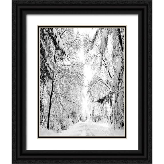 Carpentieri, Natalie 20x24 Black Ornate Wood Framed with Double Matting Museum Art Print Titled - Wintery Dreams Path