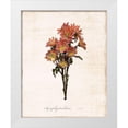 thumbnail image 1 of Carpentieri, Natalie 20x24 White Modern Wood Framed Museum Art Print Titled - Sketchbook Aster, 1 of 4