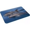 Carpet Beautiful and Peaceful Dolphins Doormat Carpet Mat Rug Polyester