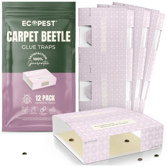 Carpet Beetle Traps  12 Pack | Sticky Indoor Glue Boards for Carpet Beetles, Larvae & Other Crawling Insects | Non-Toxic Pest Control Trap & Monitor for Closets, Storage Areas, and More