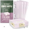 thumbnail image 1 of Carpet Beetle Traps – 20 Pack | Sticky Indoor Glue Boards for Carpet Beetles, Larvae & Other Crawling Insects | Non-Toxic Pest Control Trap & Monitor for Closets, Storage Areas, and More, 1 of 10