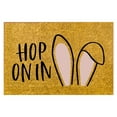 Carpet Cleaner Funny Easter Bunny Funny English Door Mat Anti Slip Door
