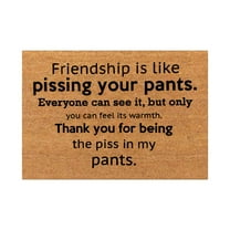 Carpet, Door Mat - Loetky Lasts English Doormat Rug Door Mat Front Door Outdoor Entrance Porch Mat with Slip Polyester Floor Mat, 1X Friendship Floor Mat