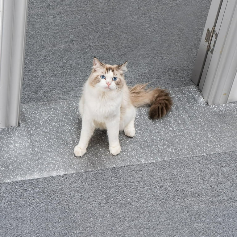 How youg to stop cat from scratching carpet under door