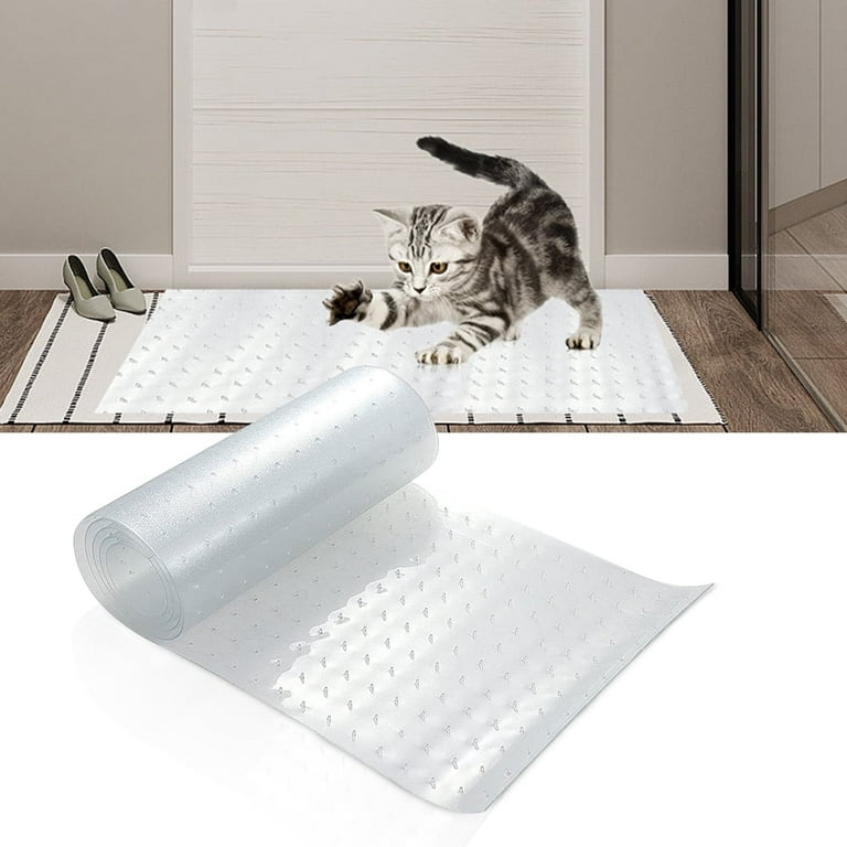 Cat scratching carpet under door hot sale