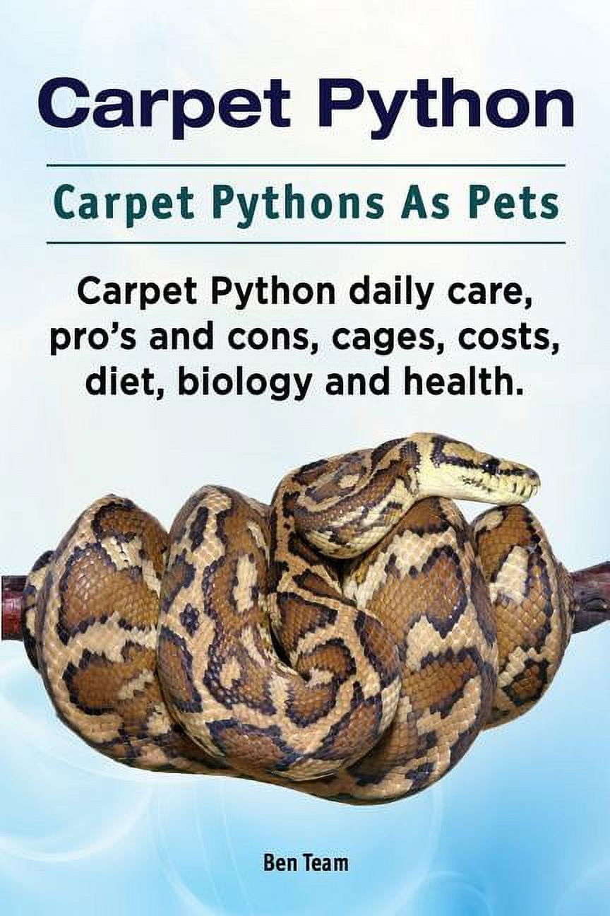 Carpet Python. Carpet Pythons As Pets. Carpet Python daily care, pro's