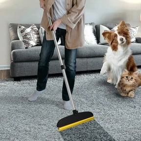 Carpet Pet Hair Remover