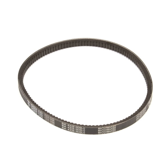 Carpigiani IC531002107- Genuine OEM Replacement Part