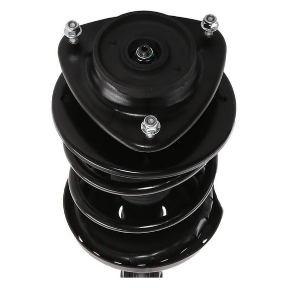 Carquest Premium Complete Strut Assembly: Includes Strut, Coil Spring and Mount