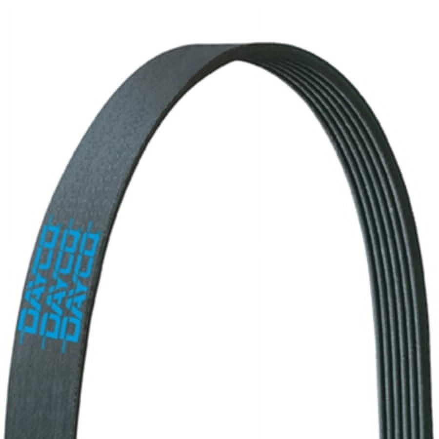 Carquest by Dayco Poly Rib Belt, Premium Fits select: 1999-2000 HONDA ...