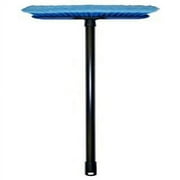 Carrand 93119 10" Brush Head with 48" Handle