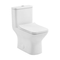 Carre One-Piece Square Toilet Dual-Flush 1.1/1.6 gpf