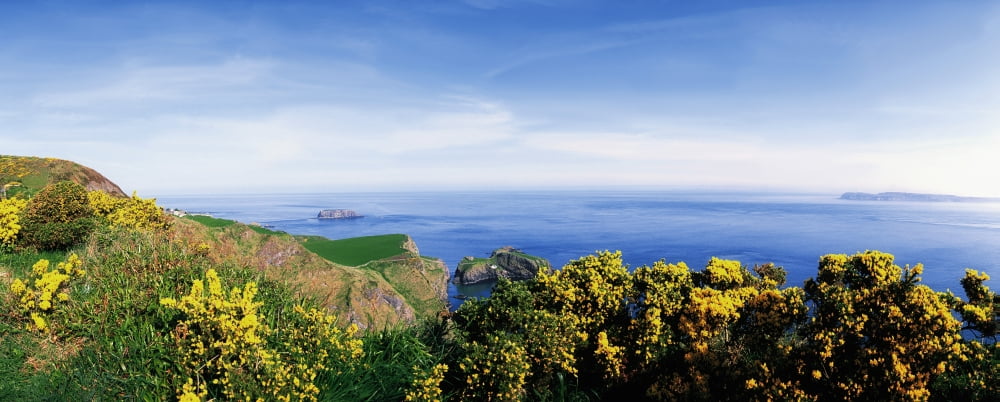 Carrick-A-Rede Rope Bridge Co Antrim Ireland View To The Carrick-A-Rede Rope Bridge Maintained By The National Trust Canvas Art - The Irish Image Collection Design Pics (36 x 14)