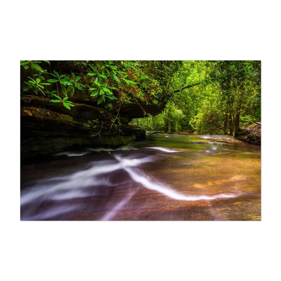 Carrick Creek Cascades - South Carolina Photography Nature Forest Waterfall Scenic Landscape Botanical Unframed Wall Art Print 4 x 6 inches