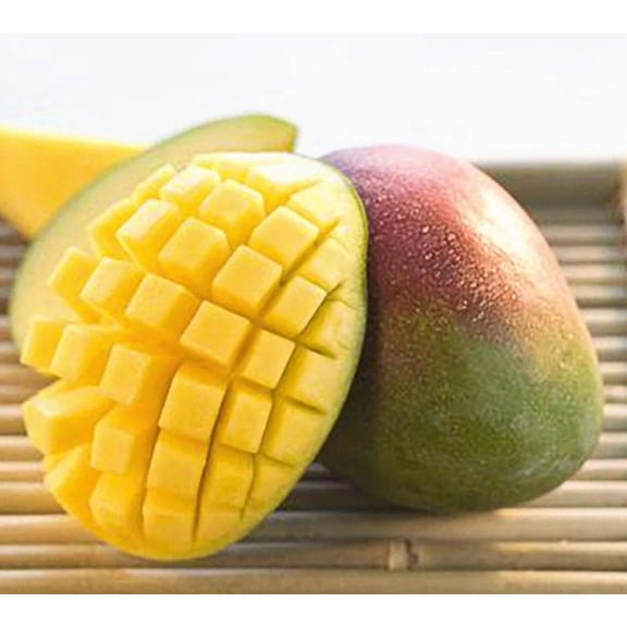 Carrie Semi Dwarf Grafted Mango Tree. 3 Gallon pot. Ship to all states