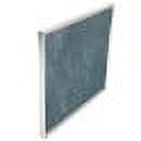 Carrier 317659-403 Air Filter 20x21.5x1, replacement for 1171653