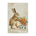 thumbnail image 1 of Stupell Industries Traditional Carrot Connoisseur Rabbit Canvas Art, 16 x 24, by Petals Prints Design, 1 of 8