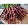thumbnail image 1 of Carrot Cosmic Purple BULK Great Heirloom Vegetable 4,000 Seeds, 1 of 1