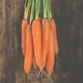 thumbnail image 1 of Carrot Seeds - Bambino (Organic) - 1 Lb ~288000 Seeds - Daucus carota var sativa - Certified Organic, Non-GMO, Heirloom - Farm & Vegetable Garden, 1 of 1