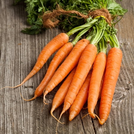Carrot Seeds - Kuroda Long 8" - 0.25 Oz ~5,000 Seeds - Daucus carota var. sativus - Farm & Garden Vegetable Seeds - Non-GMO, Heirloom, Open Pollinated, Annual