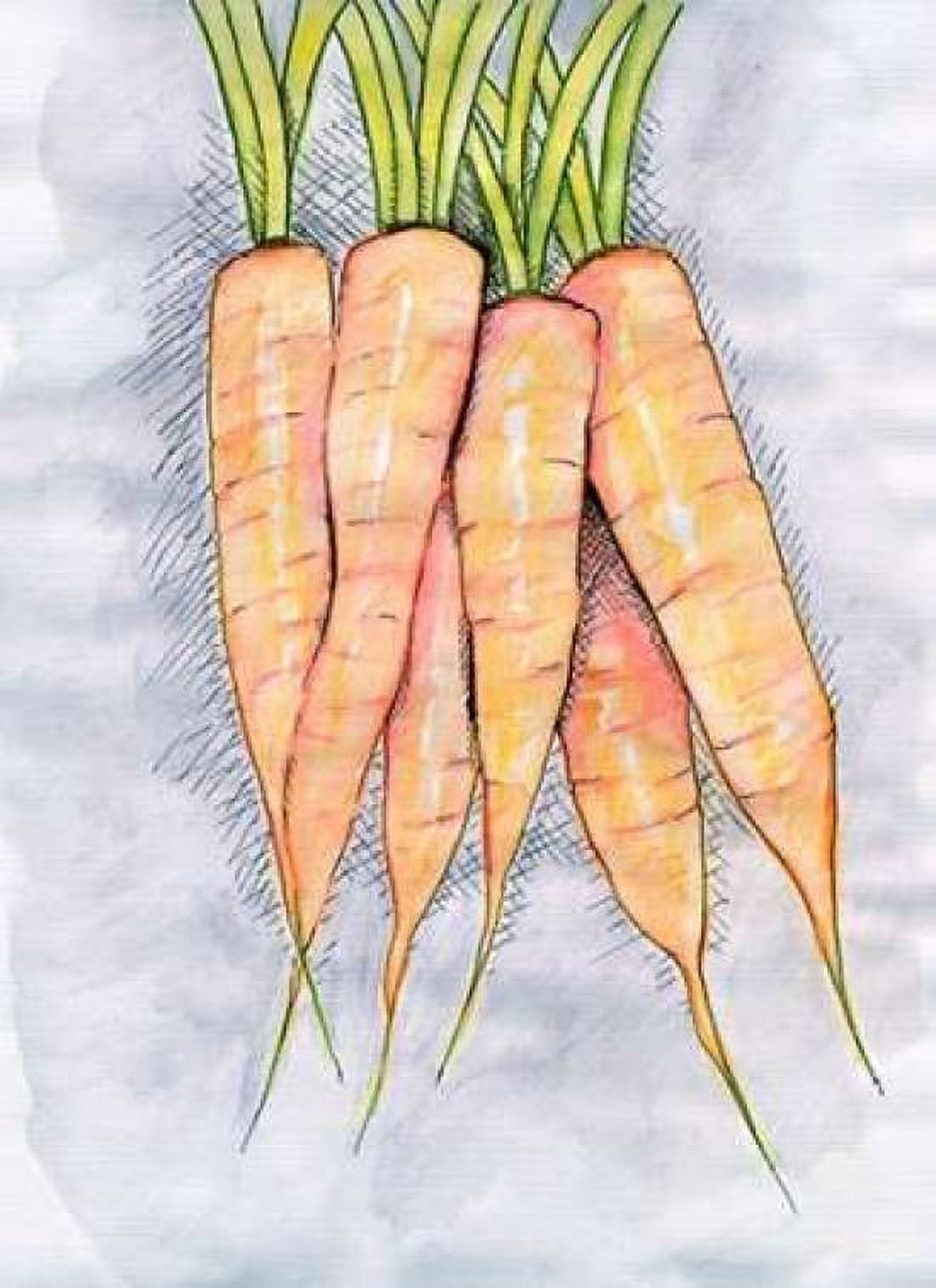 Carrots Canvas Art - Anne Seay (18X24)
