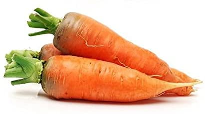 Carrots-Danvers Half Long.- 100+ Seeds- Country Creek LLC C21 - Walmart.com